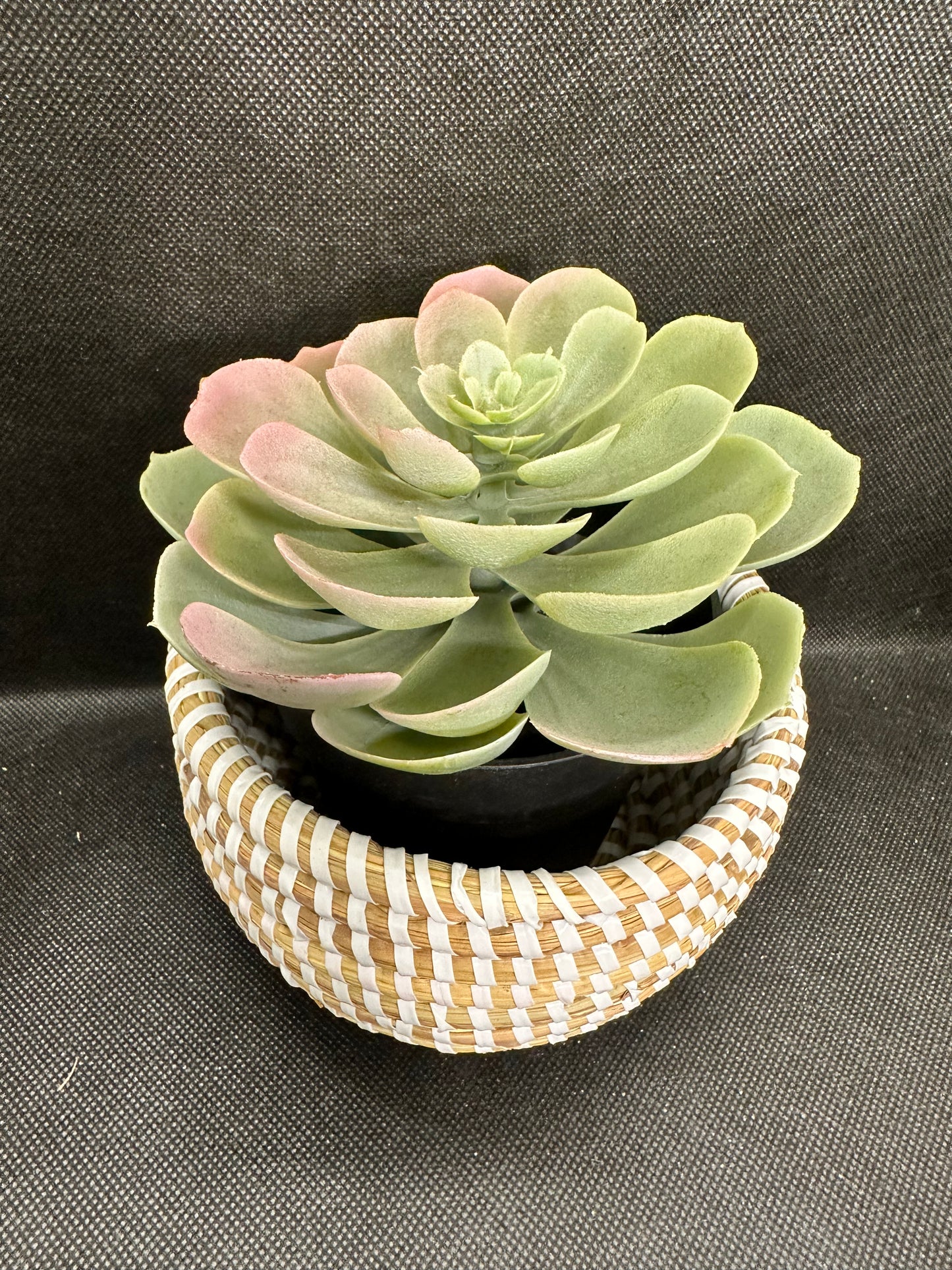 cestos pequeños ngay1